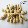 China Shandong Origin Peanut in Shell 9/11 11/13 geröstete Erdnuss